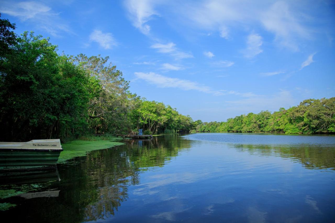 וילפאטו The Backwaters Lodge מראה חיצוני תמונה