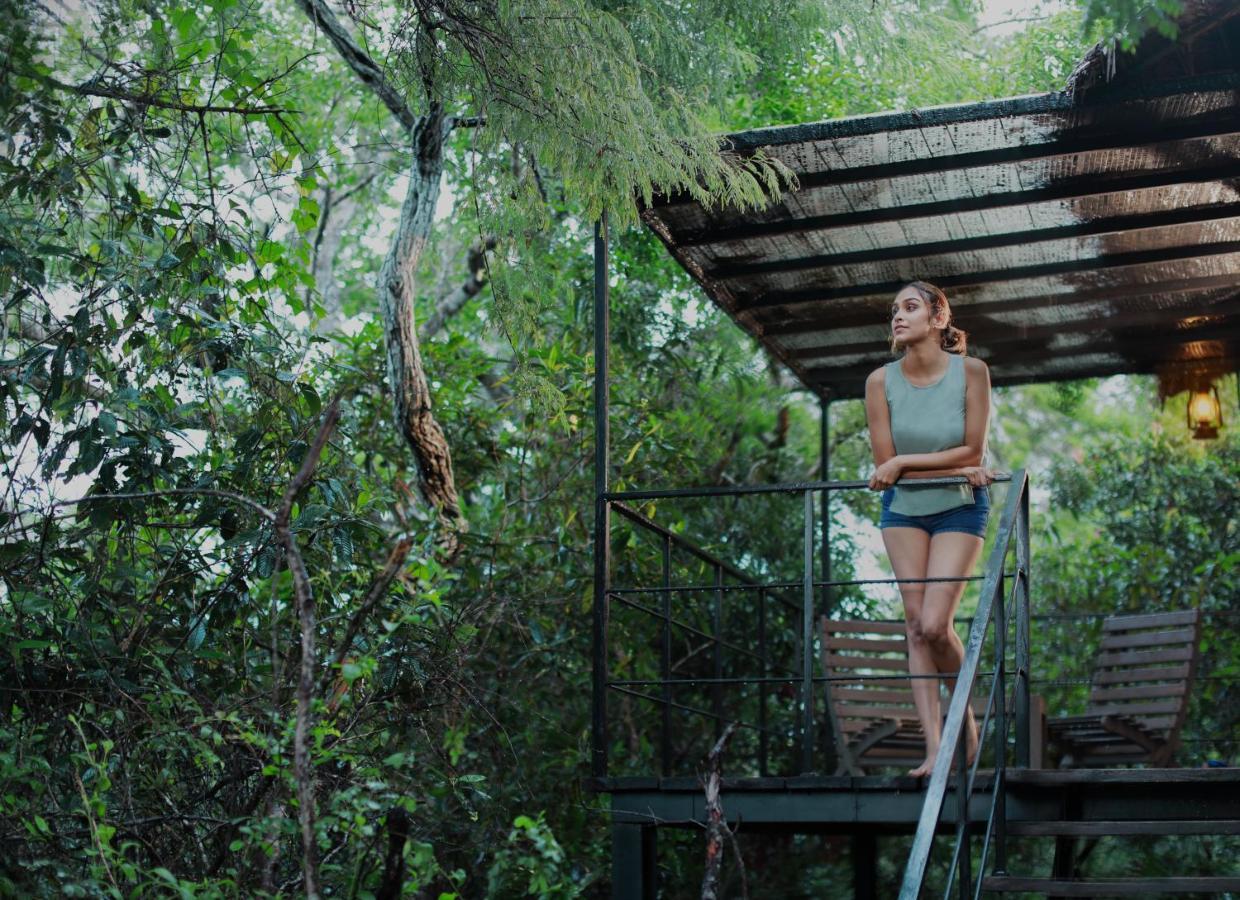 וילפאטו The Backwaters Lodge מראה חיצוני תמונה