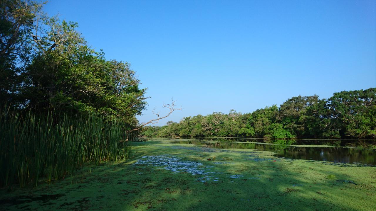 וילפאטו The Backwaters Lodge מראה חיצוני תמונה
