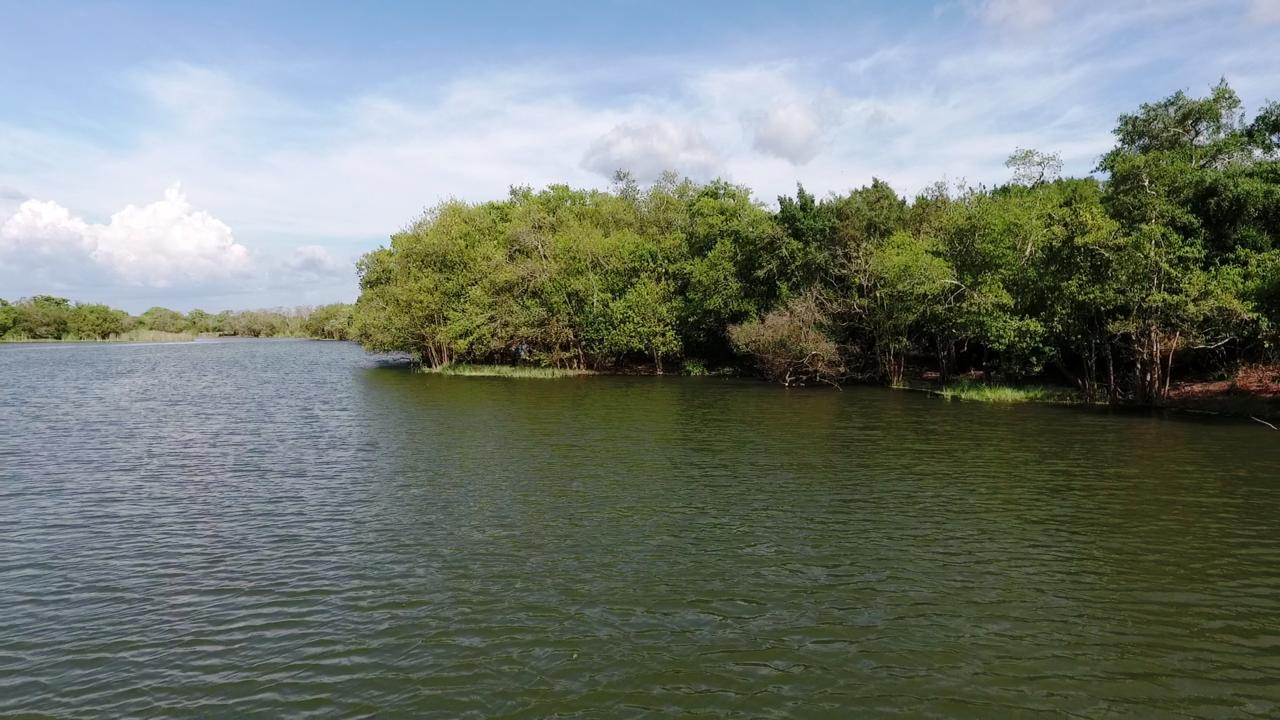 וילפאטו The Backwaters Lodge מראה חיצוני תמונה