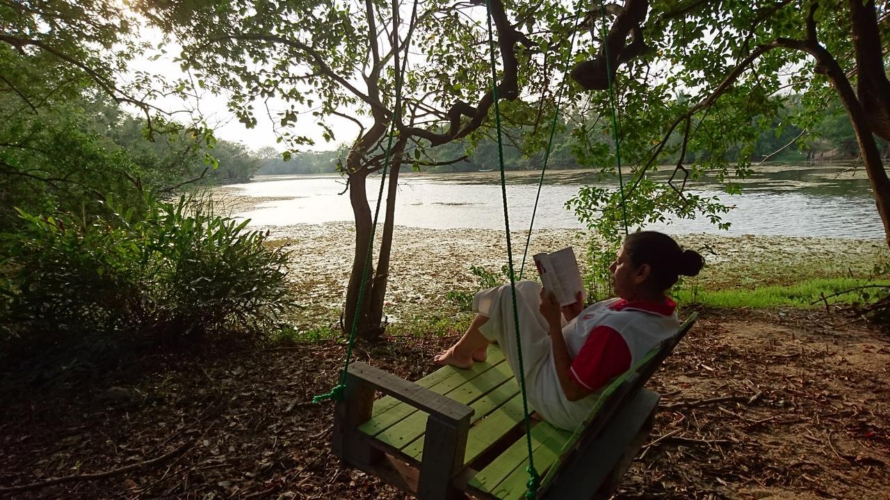 וילפאטו The Backwaters Lodge מראה חיצוני תמונה