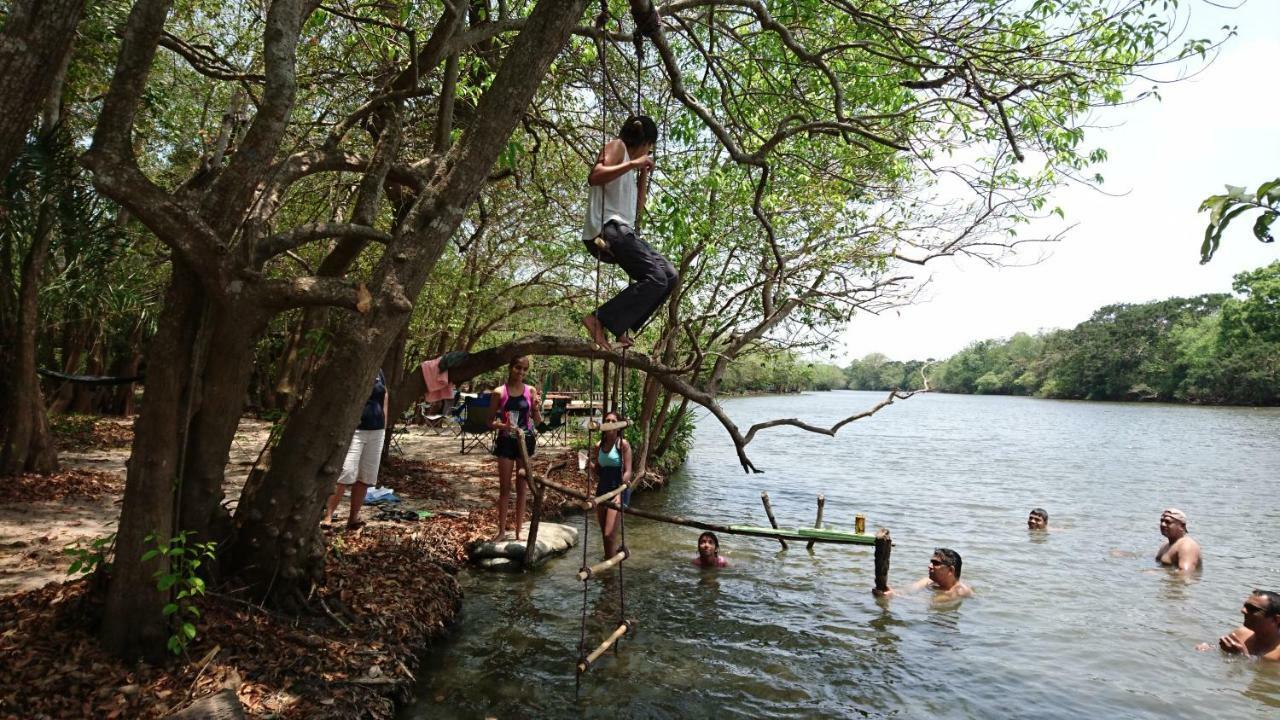 וילפאטו The Backwaters Lodge מראה חיצוני תמונה
